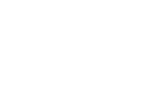 Blood Motion